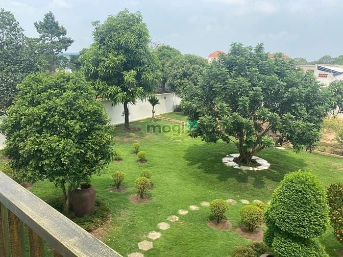 Hình ảnh Bán đất mặt tiền tân xuân tặng biệt thự vườn 1530m2 ful tc chỉ 59 tỷ