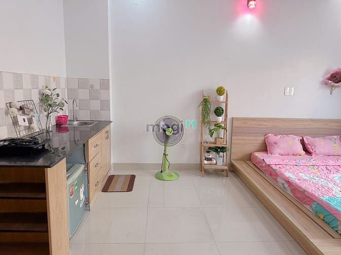 Hình ảnh Studio full NT cửa sổ lớn ngay sát cầu Ông Lãnh Q7