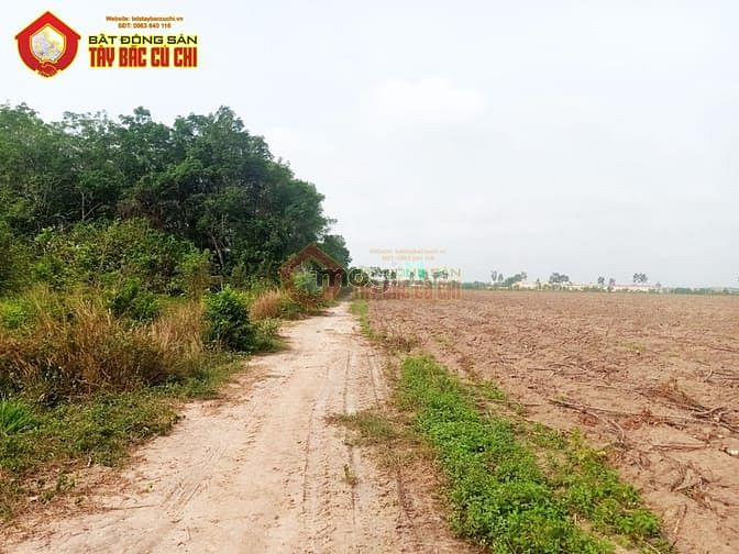 Hình ảnh Bán đất 1/ đường Phạm Văn Cội - 150m2 - 5x30 - 131m2 thổ cư - Củ Chi