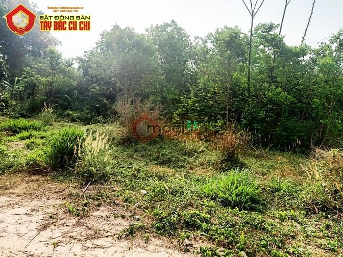 Hình ảnh Bán đất 1/ đường Phạm Văn Cội - 150m2 - 5x30 - 131m2 thổ cư - Củ Chi