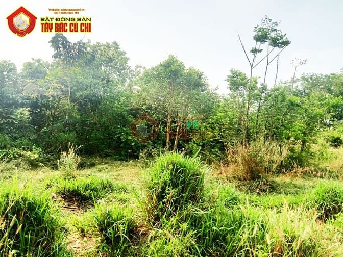 Hình ảnh Bán đất 1/ đường Phạm Văn Cội - 150m2 - 5x30 - 131m2 thổ cư - Củ Chi