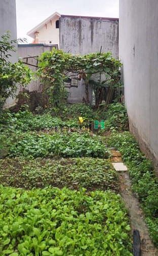 Hình ảnh Bán Đất Long Biên, Phố Thanh Am, 3.45 tỷ, DT64m, MT4m, Ô tô đỗ cổng