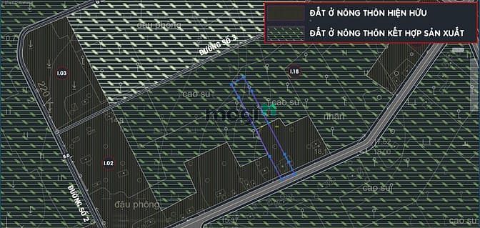 Hình ảnh Bán đất đường Phú Thuận - 3355m2 - 21x158 - 1592m2 thổ cư - Củ Chi