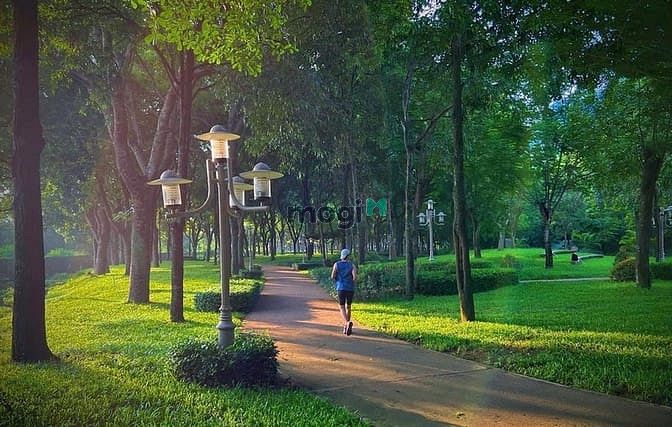 Hình ảnh Cho Thuê Căn Hộ Diamond Alnata 3Pn Celadon. Giá 20 Triệu Fre Phí Q. Lý