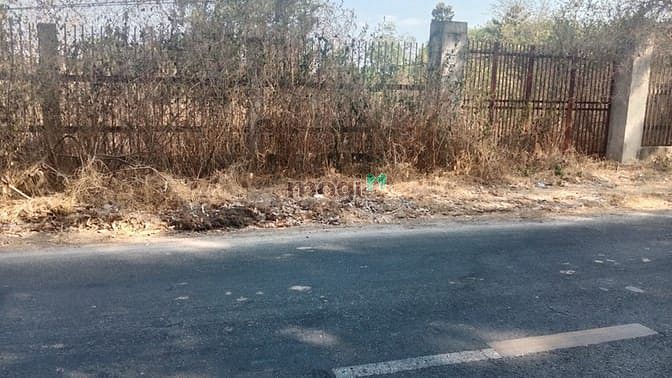 Hình ảnh Bán đất đường Bến Đình - 4795m2 - 21x146 nở hậu 39m - 600m2 thổ cư