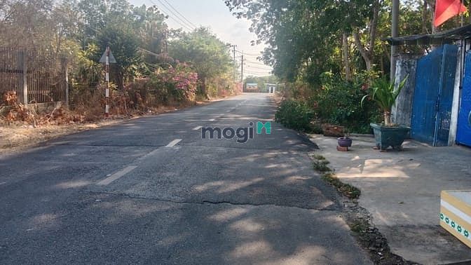 Hình ảnh Bán đất đường Bến Đình - 4795m2 - 21x146 nở hậu 39m - 600m2 thổ cư