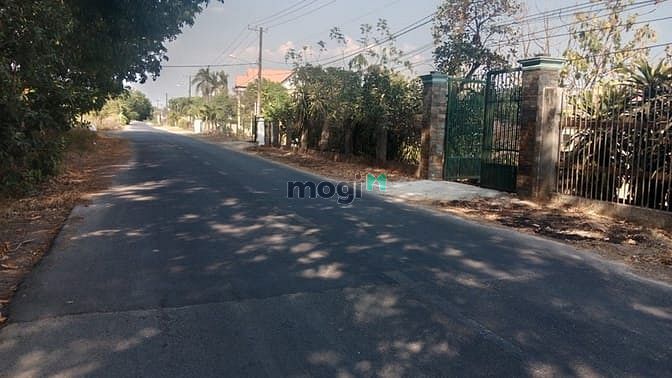 Hình ảnh Bán đất đường Bến Đình - 4795m2 - 21x146 nở hậu 39m - 600m2 thổ cư