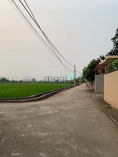Hình ảnh Cho Thuê Đất 500m2 Tại Thôn Đông, Đào Viên, Quế Võ, Bắc Ninh
