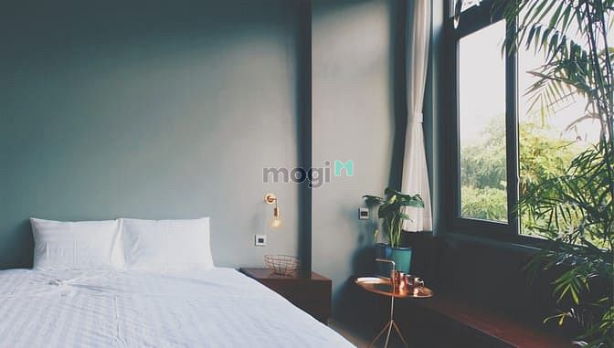 Hình ảnh CHDV - Tiêu đề cho đủ chữ, sản phẩm này tự Marketing chính nó