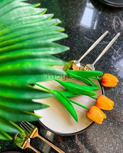 Hình ảnh 💥 Cho Thuê Căn Hộ Cao Cấp tại đường Nguyễn Trãi quận 1