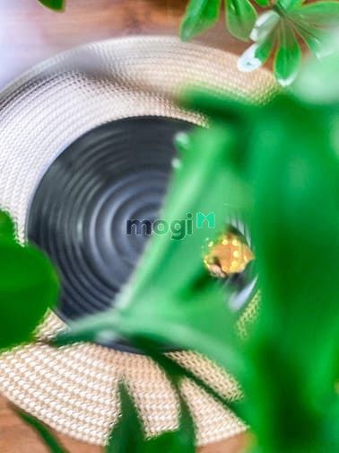 Hình ảnh 💥 Cho Thuê Căn Hộ Cao Cấp tại đường Nguyễn Trãi quận 1