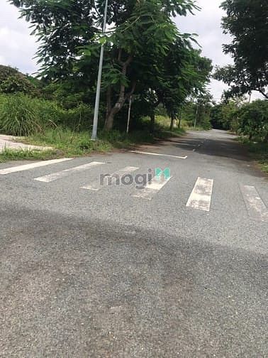 Hình ảnh Cần bán 15 nền đất Trường Thọ, Thủ Đức,80m2,giá 3 tỷ 500,có SHR
