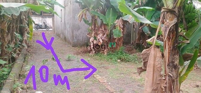 Hình ảnh Cc cần bán mảnh đất 40.3m2, tk2, nhỉnh 1 tỷ, an thắng, biên giang, hà