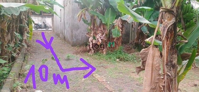 Hình ảnh Cc cần bán mảnh đất 40.3m2, tk4, nhỉnh 1 tỷ, an thắng, biên giang, hà