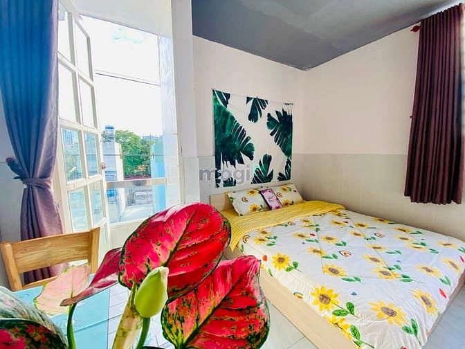 Hình ảnh Cho thuê Mb6623 nạp rút nhanh chóng Quận 1. Cửa sổ, ban công, vòng xoay cống Quỳnh