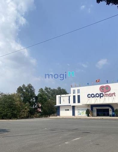 Hình ảnh Cần bán 15 nền đất Lê Minh Xuân,Bình Chánh,80m2,3ty500,có SHR