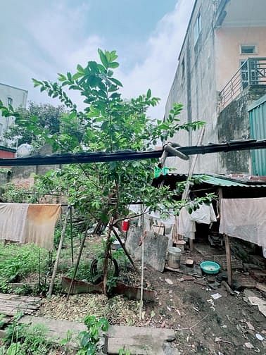Hình ảnh Bán Đất An Dương Vương Tây Hồ. Ngõ Ô Tô. DT 100M2. MT 5M. Giá 13,5 Tỷ