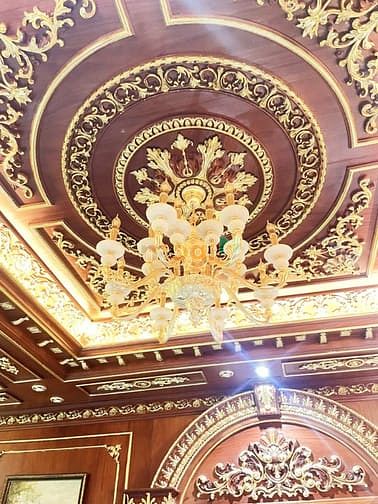 Hình ảnh Biệt Thự VIP Gần VinCom Gò Vấp,DTSD 600m2, 38.5 tỷ TL