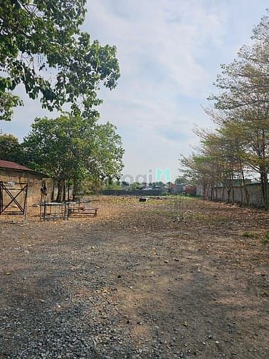 Hình ảnh Đất nguyễn thị lắng tân phú trung củ chi 5100m2 chỉ 40 tỷ