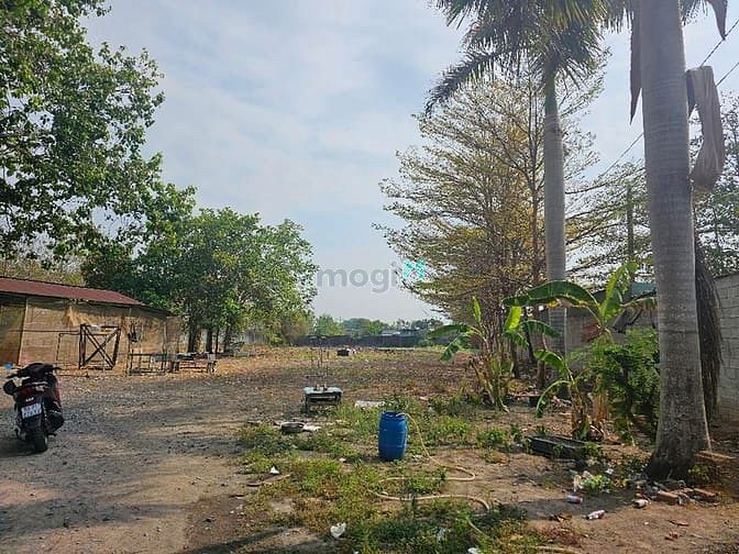 Hình ảnh Đất nguyễn thị lắng tân phú trung củ chi 5100m2 chỉ 40 tỷ