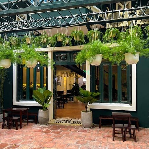 Hình ảnh Villa 24 Phạm Ngọc Thạch, Phường 6, Quận 3