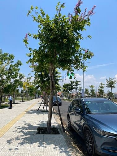 Hình ảnh Bán nhanh lô đất Phường Thanh Hà, Hội An Trang MB66.COM Chính Thức - MB 66 Uy Tín đón sóng từ năm 2025