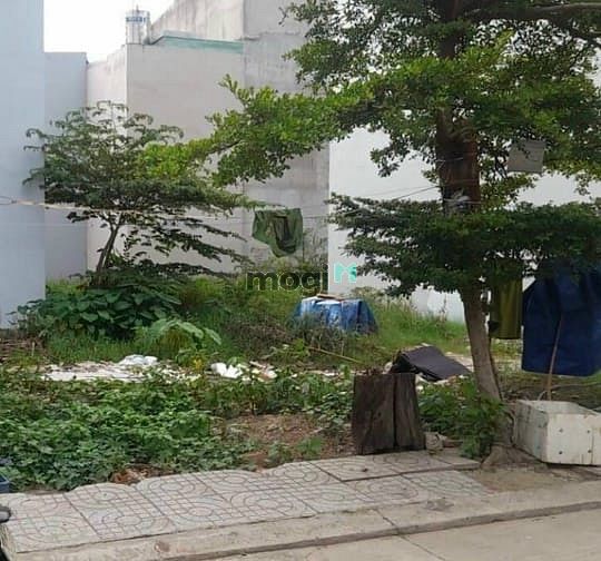 Hình ảnh Bán gấp đất Tân Phú, Cầu Xây, 50m2, giá rẻ chỉ 2ty85