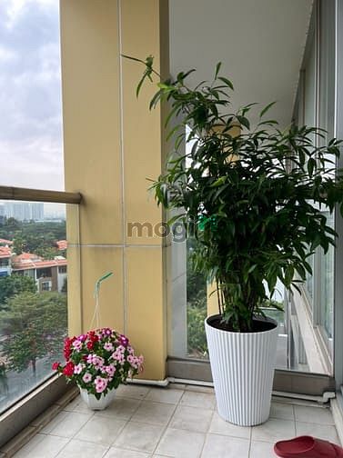 Hình ảnh Bán Trang Chủ MB66.COM / Đăng Ký Tặng 66K 3PN chung cư GRAND VIEW, PHÚ MỸ HƯNG, QUẬN 7