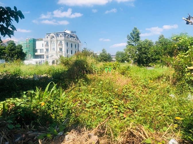 Hình ảnh Bán đất biệt thự KDC dự án Huy Hoàng, đường 69A, phường Thạnh Mỹ Lợi,