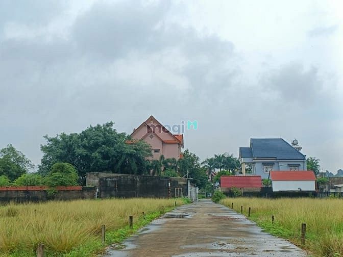 Hình ảnh Bán đất tân phú trung củ chi 4300m2 đã lên thổ 300m2 giá 28 tỷ
