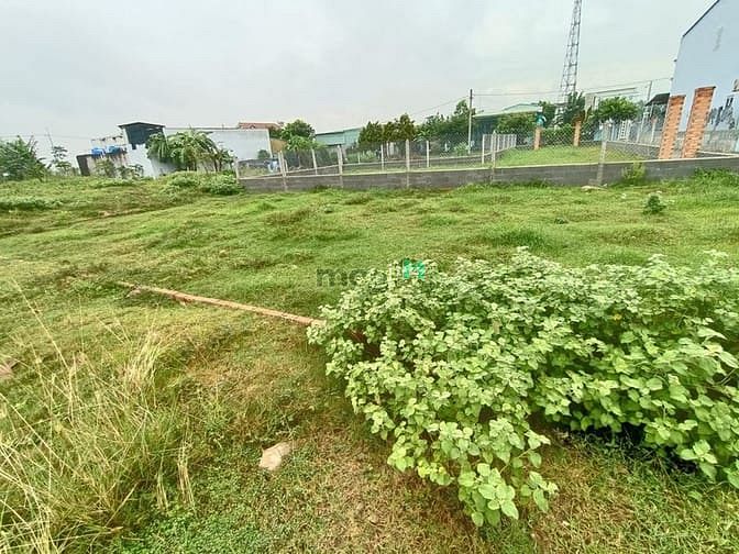 Hình ảnh Bán đất tân phú trung củ chi 4300m2 đã lên thổ 300m2 giá 28 tỷ
