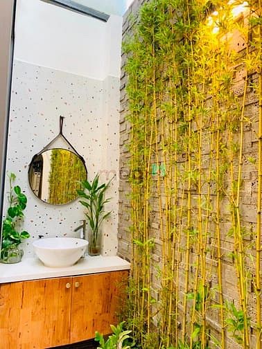 Hình ảnh VILA MINI BÌNH THẠNH - Nội thất cao cấp - Có thang máy