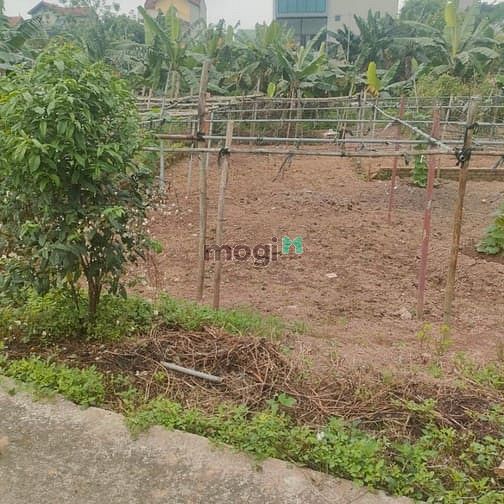 Hình ảnh Đất đấu giá Yên Nghĩa, giá siêu rẻ.