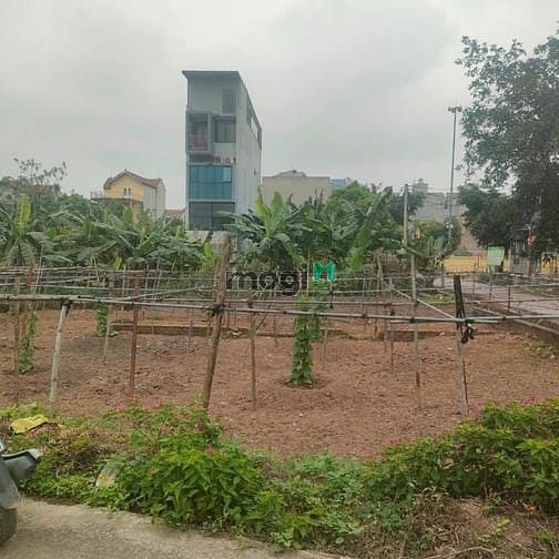 Hình ảnh Đất đấu giá Yên Nghĩa, giá siêu rẻ.