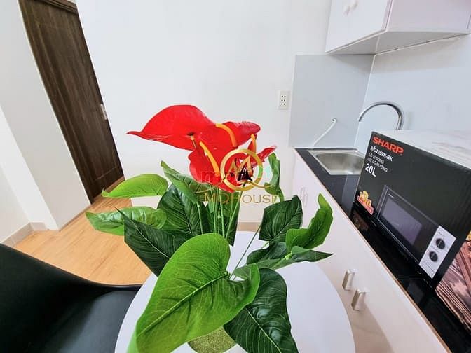 Hình ảnh Cho thuê Trang Chủ MB66.COM / Đăng Ký Tặng 66K Q3_Gần Rạch Bùng Binh_Đền Đức Mẹ_Rạch Bùng Binh_sát Q1