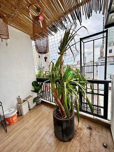 Hình ảnh ✅Khai Trương Căn Hộ🌟dạng Duplex_Ban công_gần Ngã Tư Hàng Xanh✅