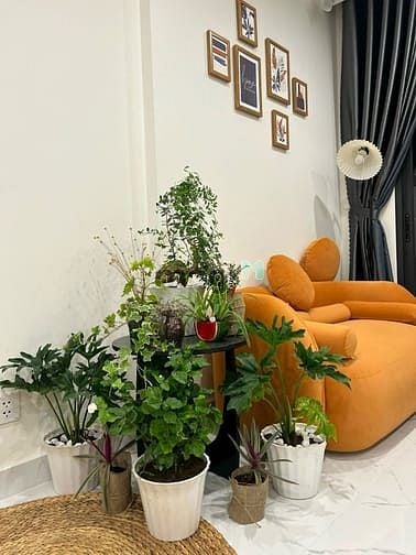 Hình ảnh cho thuê Trang Chủ MB66.COM / Đăng Ký Tặng 66K Vinhomes Grand Park Q9