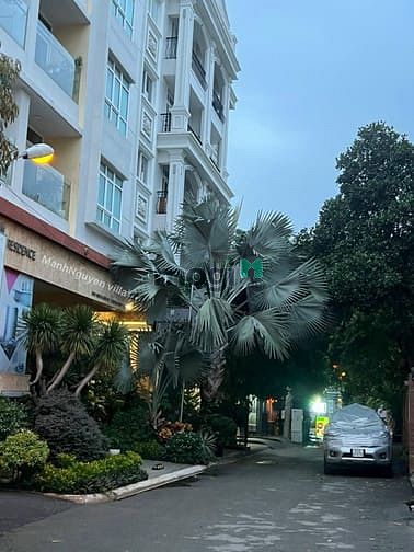 Hình ảnh ✅ Bán đất Thảo Điền, bán đất Quận 2