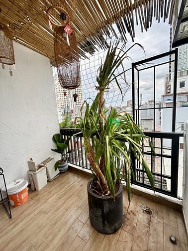 Hình ảnh Siêu phẩm Duplex Bancolny - thang máy - hầm xe - giá rẻ nhất Hàng Xanh