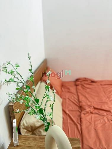 Hình ảnh SALE Căn 2PN Ban Công Sầm Sơn Tân Bình Gần Trung Tâm