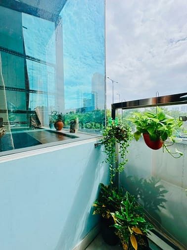 Hình ảnh Cho Thuê Căn Hộ Dịch Vụ Studio Cửa Sổ gần trường Đại học Văn Lang