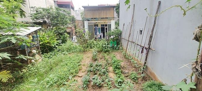 Hình ảnh BÁN ĐẤT THỔ CƯ ĐẸP HIẾM gần hồ tại phúc lợi long biên
