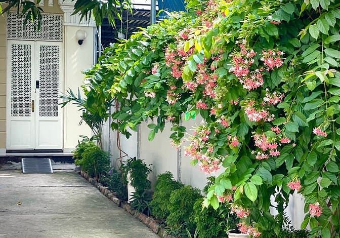 Hình ảnh 📍 🎉Mb6623 nạp rút nhanh chóng 1PN có Pancon Đường Lê Thị Chợ Phường Phú Thuận view cực c