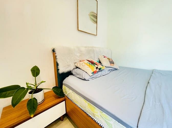 Hình ảnh Cho thuê Trang Chủ MB66.COM / Đăng Ký Tặng 66K mini full nội thất đường Sông Đà quận Tân Bình