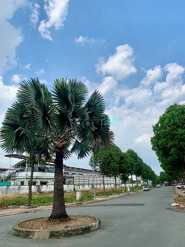 Hình ảnh Có sẵn Trang Chủ MB66.COM / Đăng Ký Tặng 66K 2PN 65m2 Chung cư Thanh Bình Residence tại Thuận An