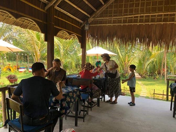 Hình ảnh Bán lô đất cẩm Thanh, Hội An, 538m2 có 456m đất ở,phù hợp làm homestay