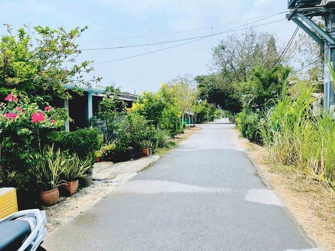 Hình ảnh NHẬP HÀNG Bán lô đất 10x25m 255m2, FULL thổ, MTĐ Nguyễn Thị Lắng