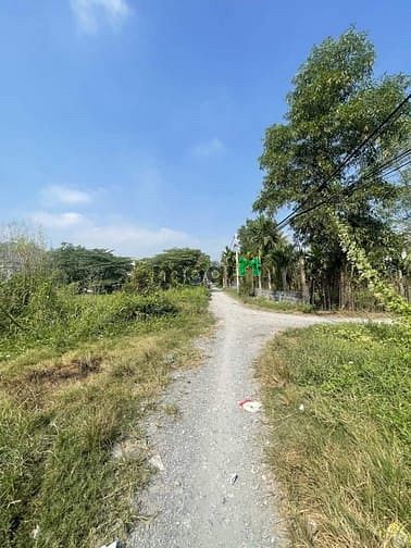 Hình ảnh Đất trống Tân Hiệp full thổ xe tải tới