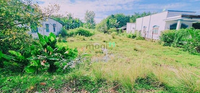 Hình ảnh NGỘP VỐN KD bán gấp đất 340m2 MTĐ Phạm Văn Chèo, gần THCS thị trấn SHR