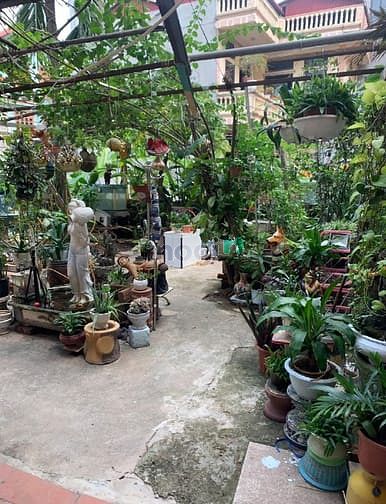 Hình ảnh BÁN ĐẤT THỔ CƯ tại phố trạm long biên 40m2 nhỉnh 4 tỷ